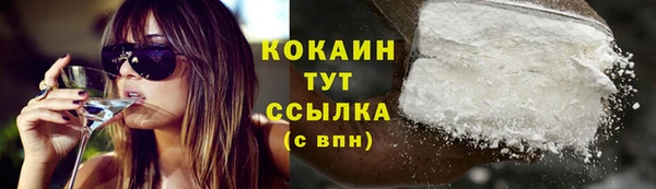 винт Дмитров