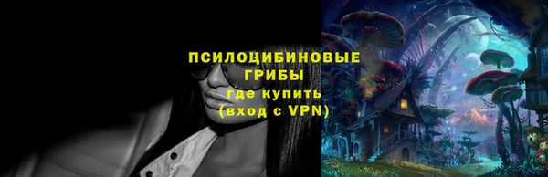 ешки Дмитриев
