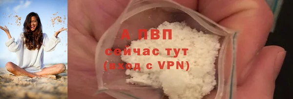 винт Дмитров